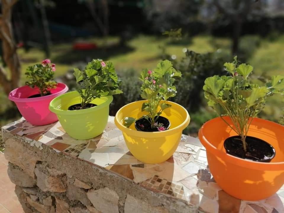 Dairos Apartamento Mali Lošinj Exterior foto