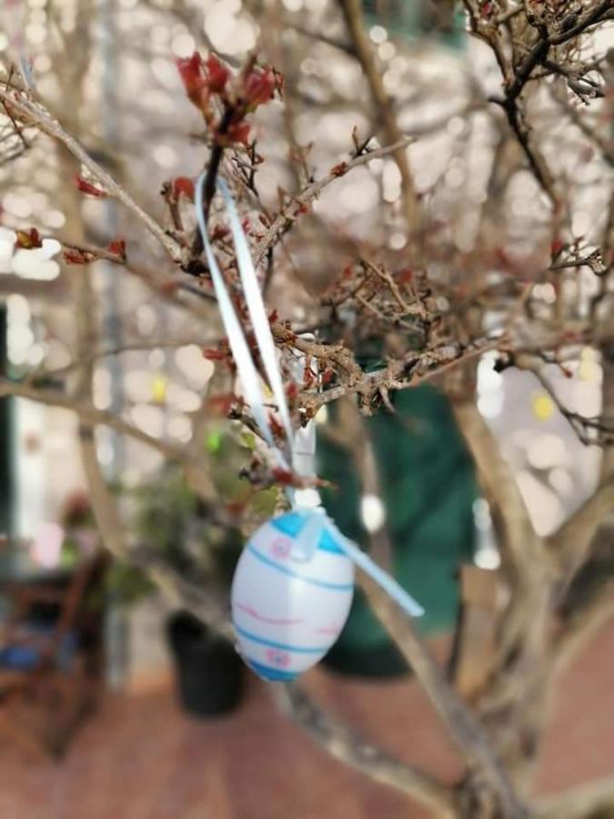 Dairos Apartamento Mali Lošinj Exterior foto